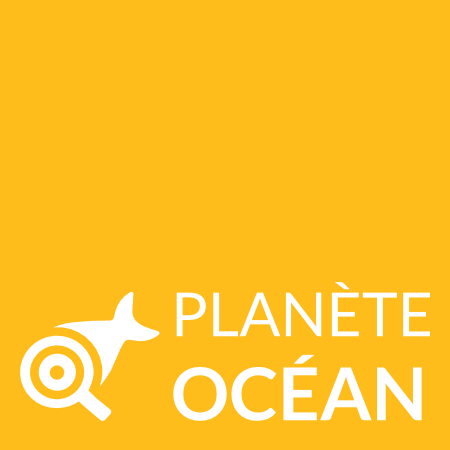 projet Planète Océan - Application Android / IOS - Cordova Ionic3 / Firebase-Firestore
